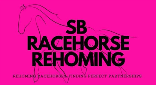 Sponsored by SB Racehorse